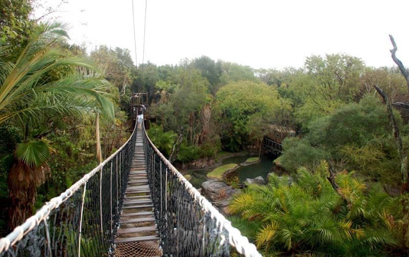 Wild Africa Trek Bridge