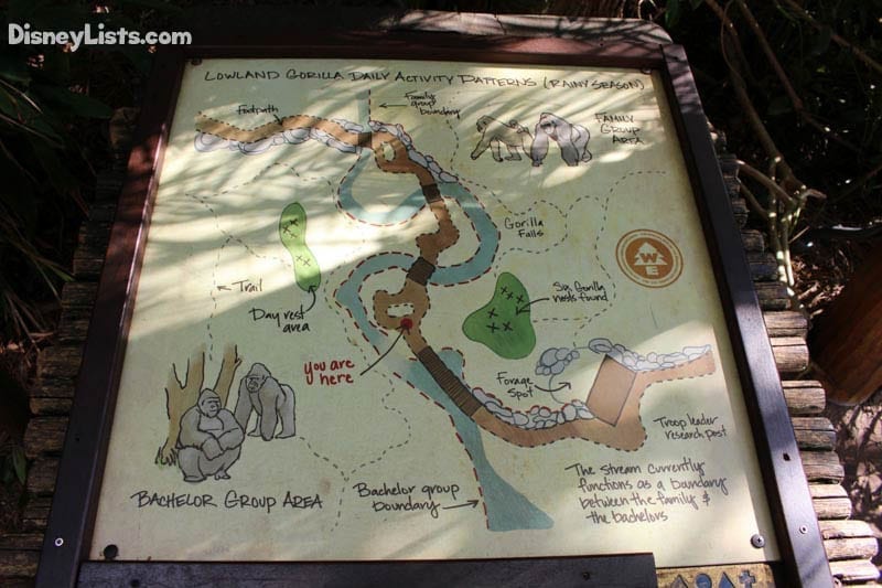 Discover Gorilla Falls Exploration Trail in Disney's 