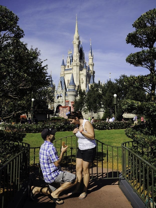 Disney-Proposal-2.jpg