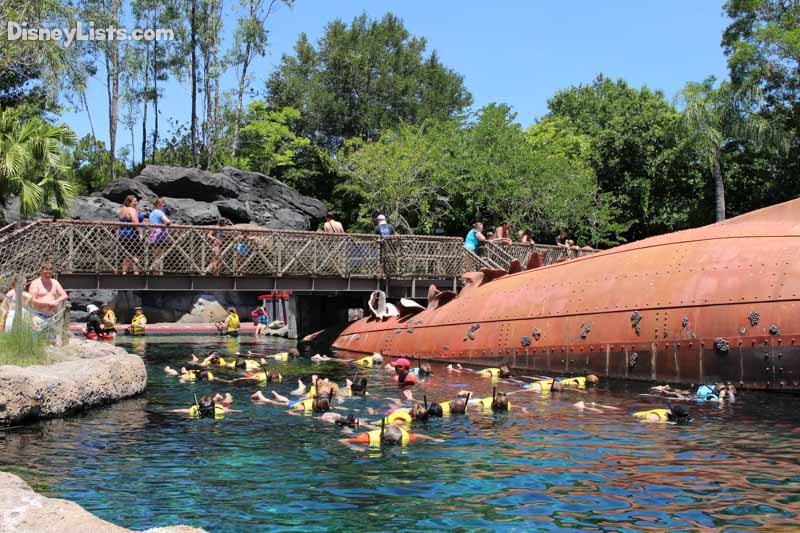 Swim with the Sharks-Typhoon Lagoon