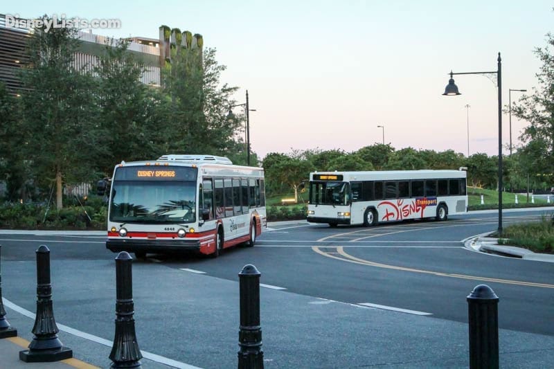 Buses Arriving at Disney Springs