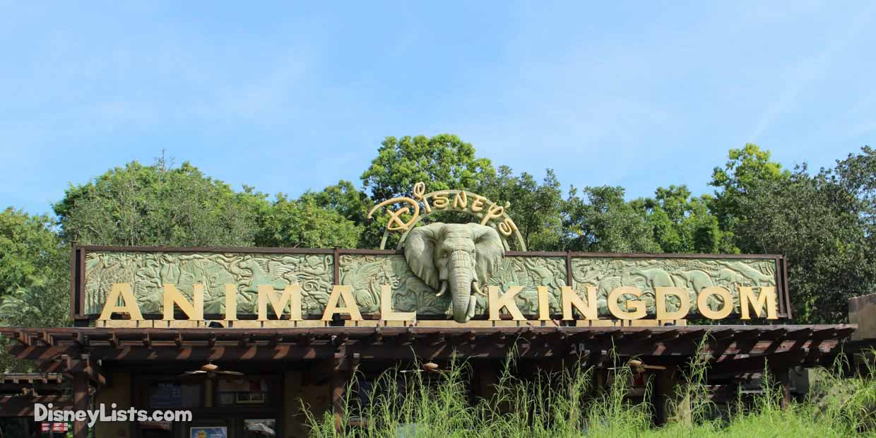 A One Day Plan: The Must-Do Attractions at Disney's Animal Kingdom –  