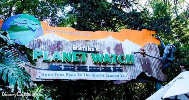 9 Facts and Secrets About Rafiki’s Planet Watch at Disney’s Animal ...