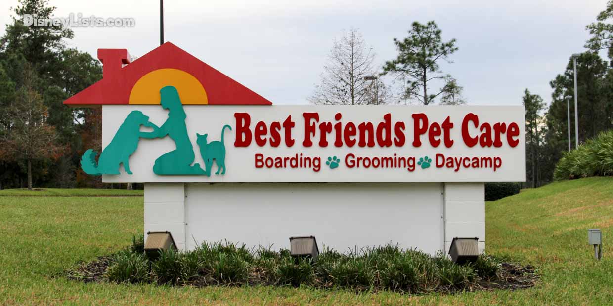 Traveling To Disney World With Pets What You Need To Know Disneylists Com
