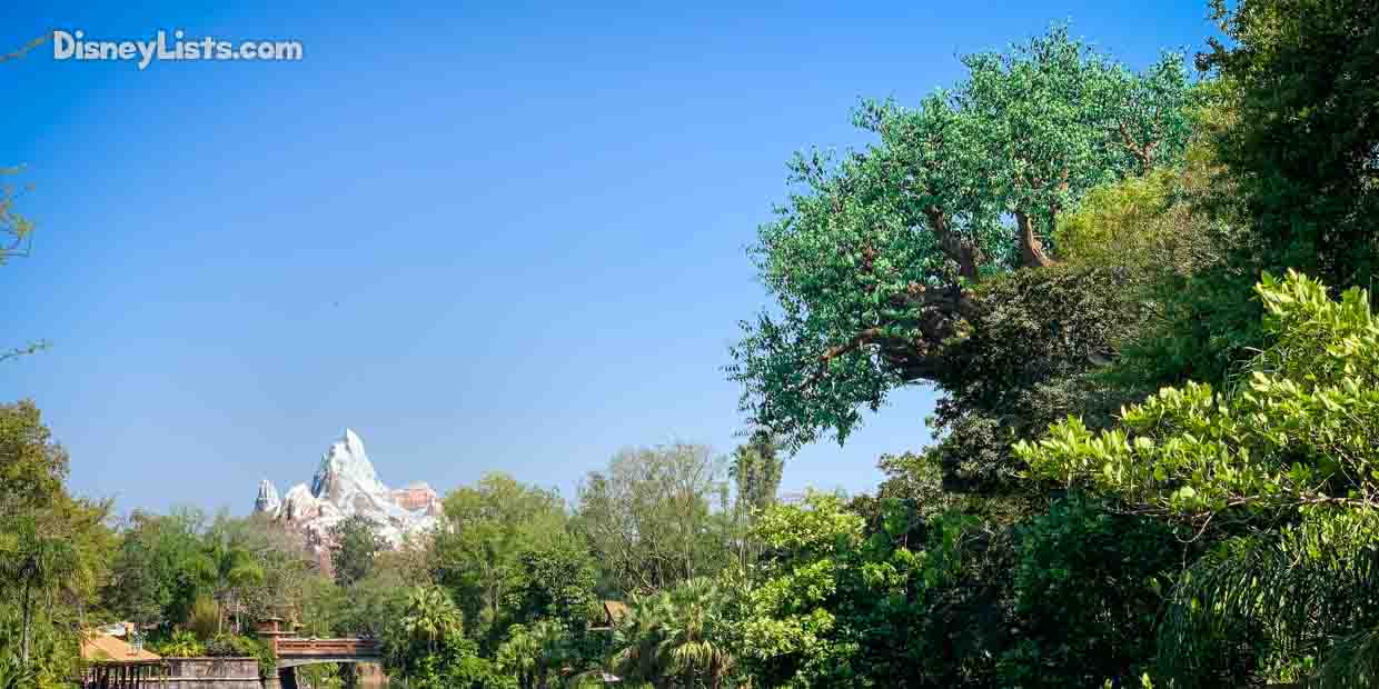 7 Tips and Tricks for Taking Photos at Animal Kingdom – 