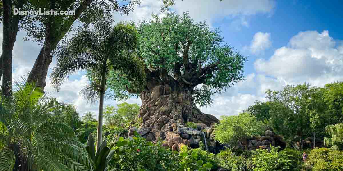Top 10 Tips for The Perfect Day at Disney's Animal Kingdom – 
