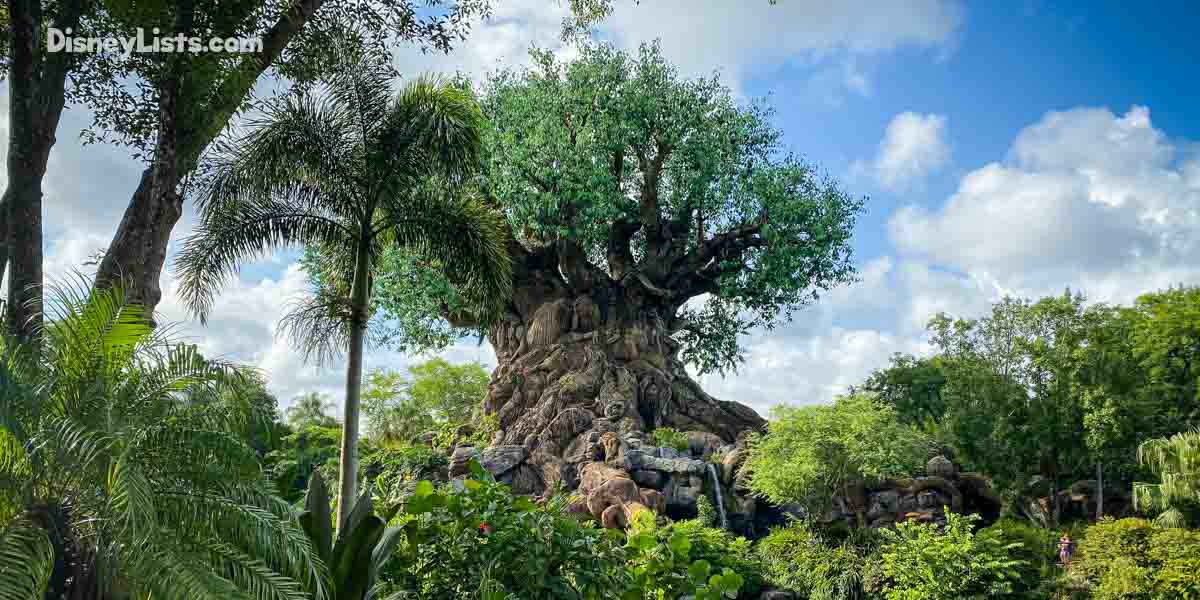 10 Things to Do First When You Get Into Animal Kingdom – 10 Things to Do First When You Get Into Animal Kingdom –