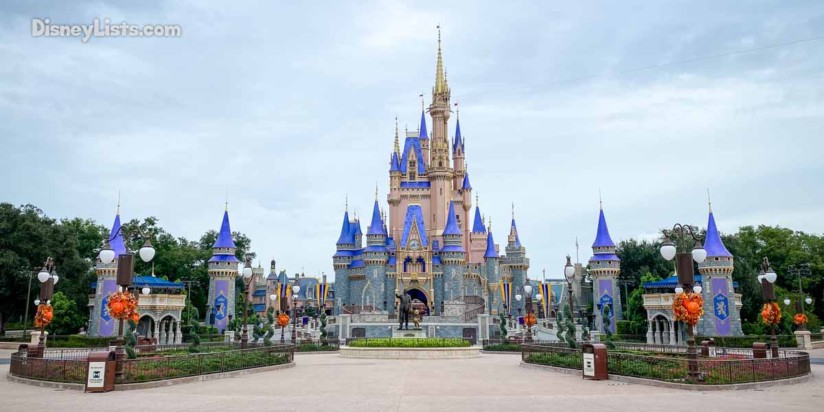 Magical Disney Castle Water Tumbler